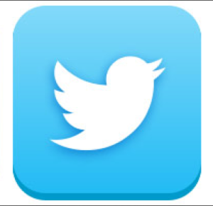 Twitter icon